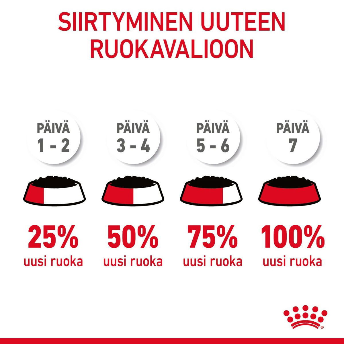 Royal Canin Hair & Skin Care Jelly Adult kissan märkäruoka