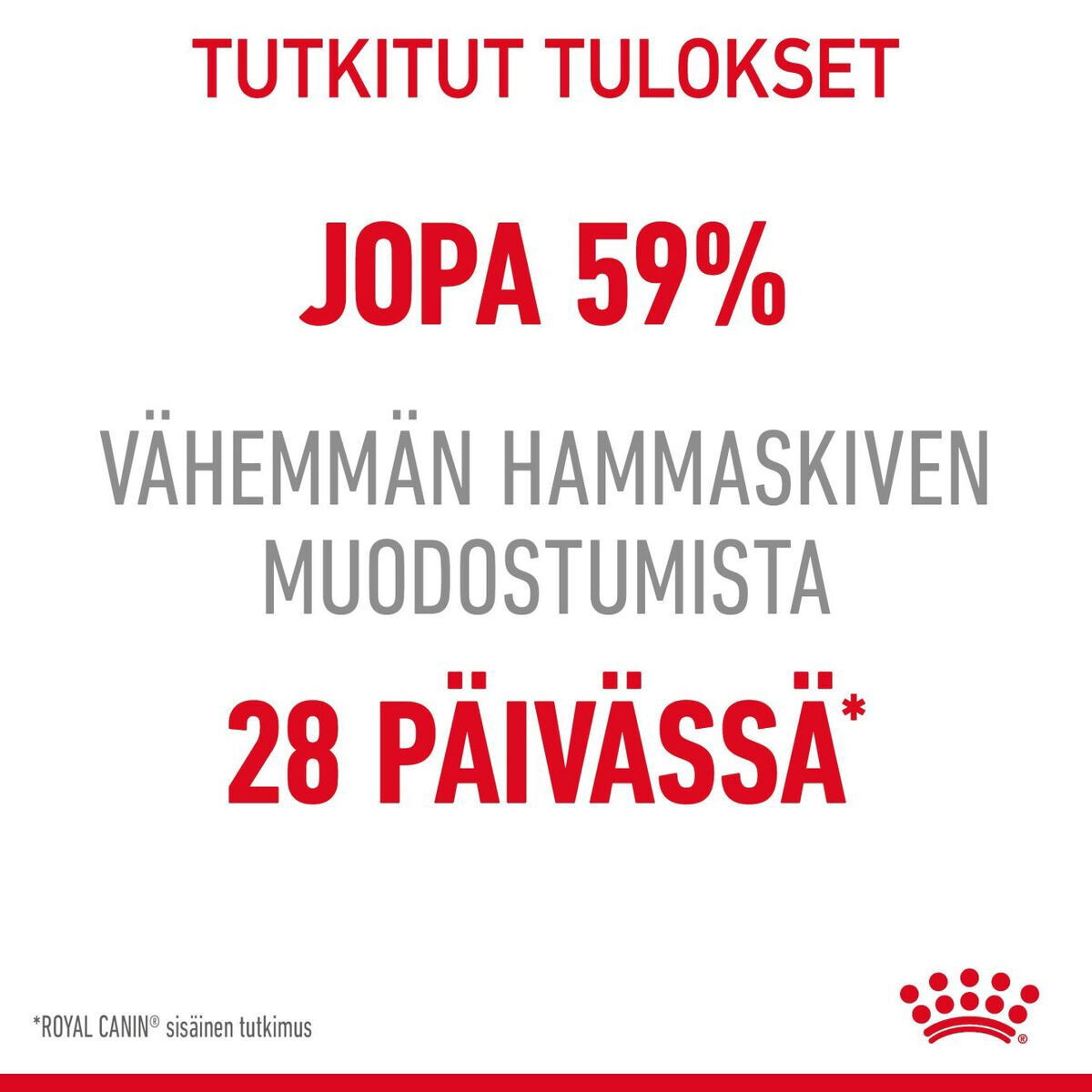 Royal Canin Dental Care Adult kissan kuivaruoka