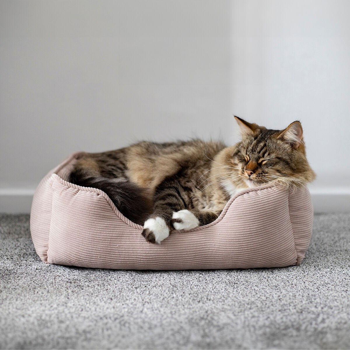 Rosewood cord square bed