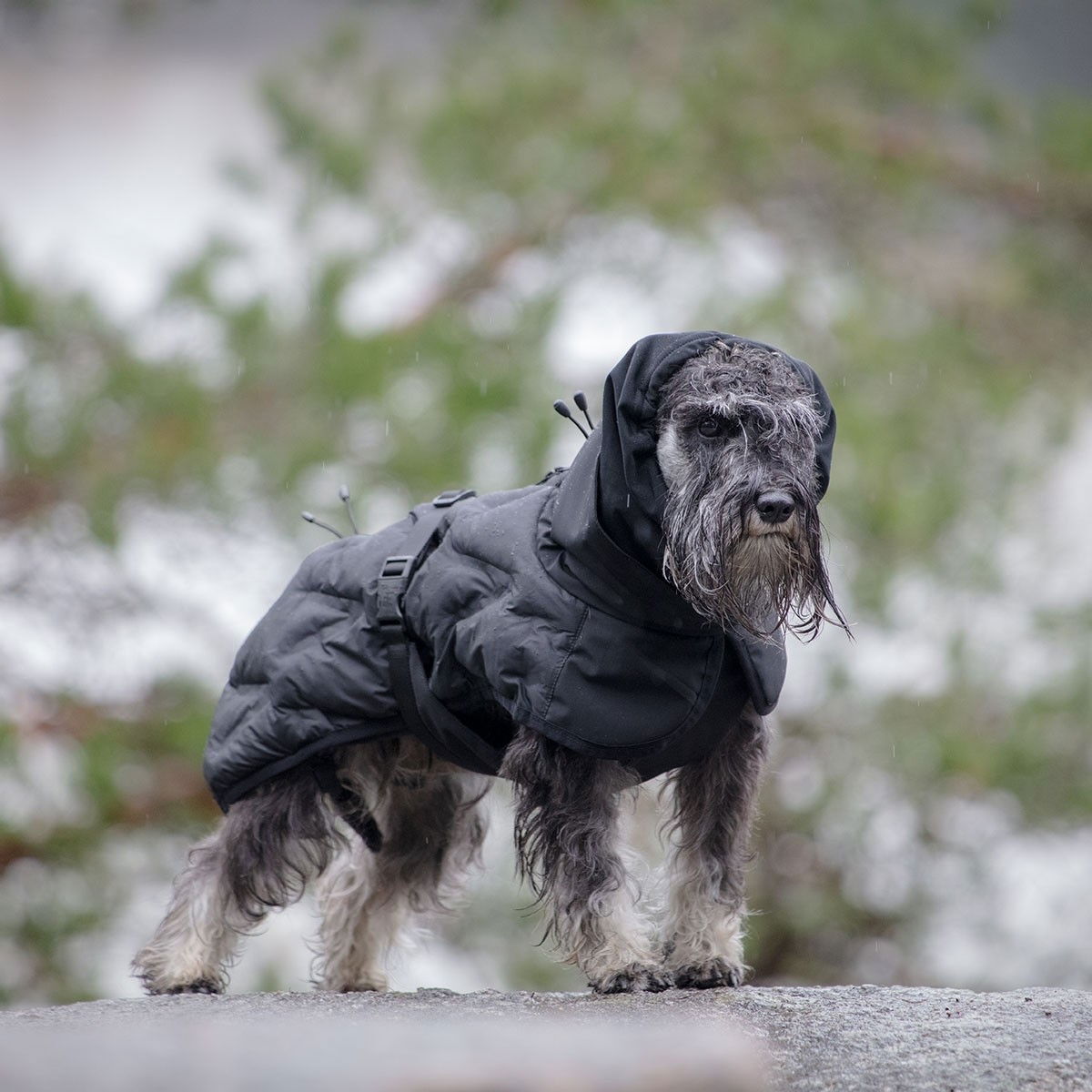 Feel Active Haga parka takki musta