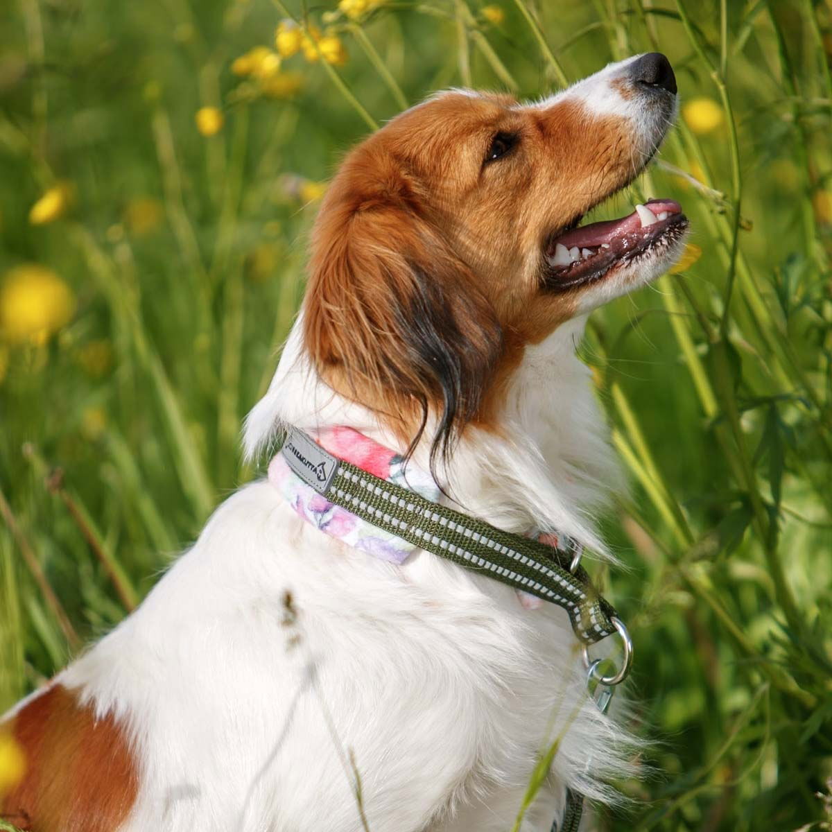 Kusse & Kutta half choke collar, garden flowers