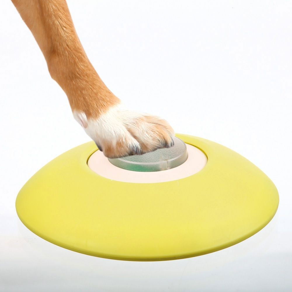 Trixie Dog Activity Memory Trainer-aktivointipeli