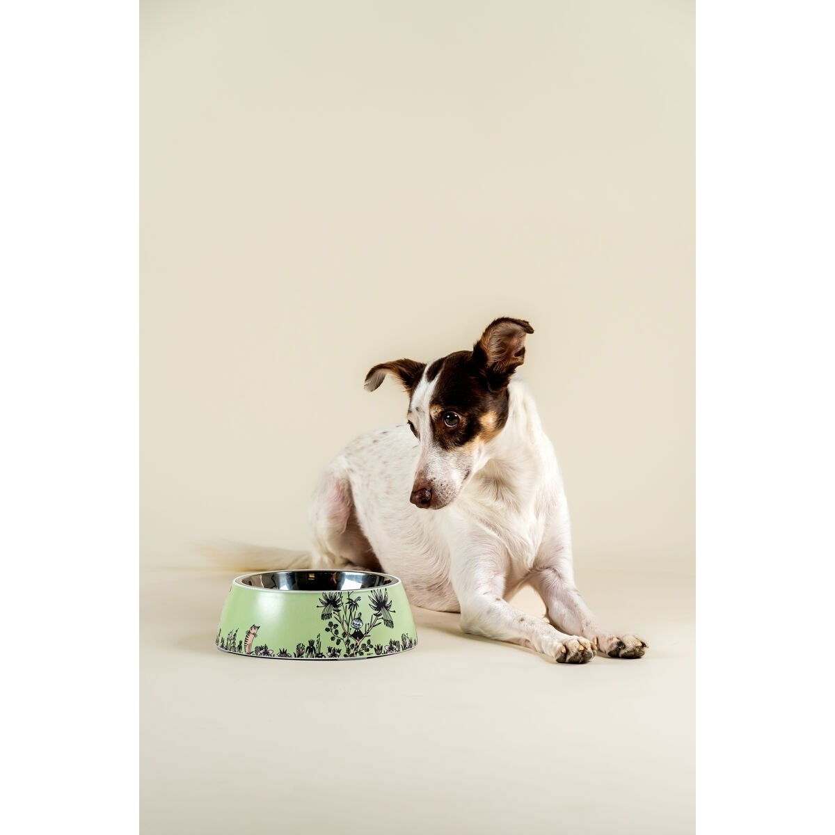 Moomin for Pets ruokakuppi 2024