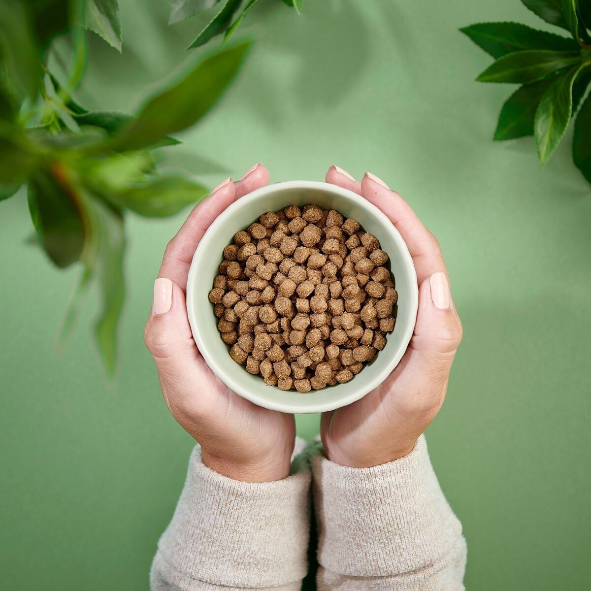 PN Cat Senior Turkey