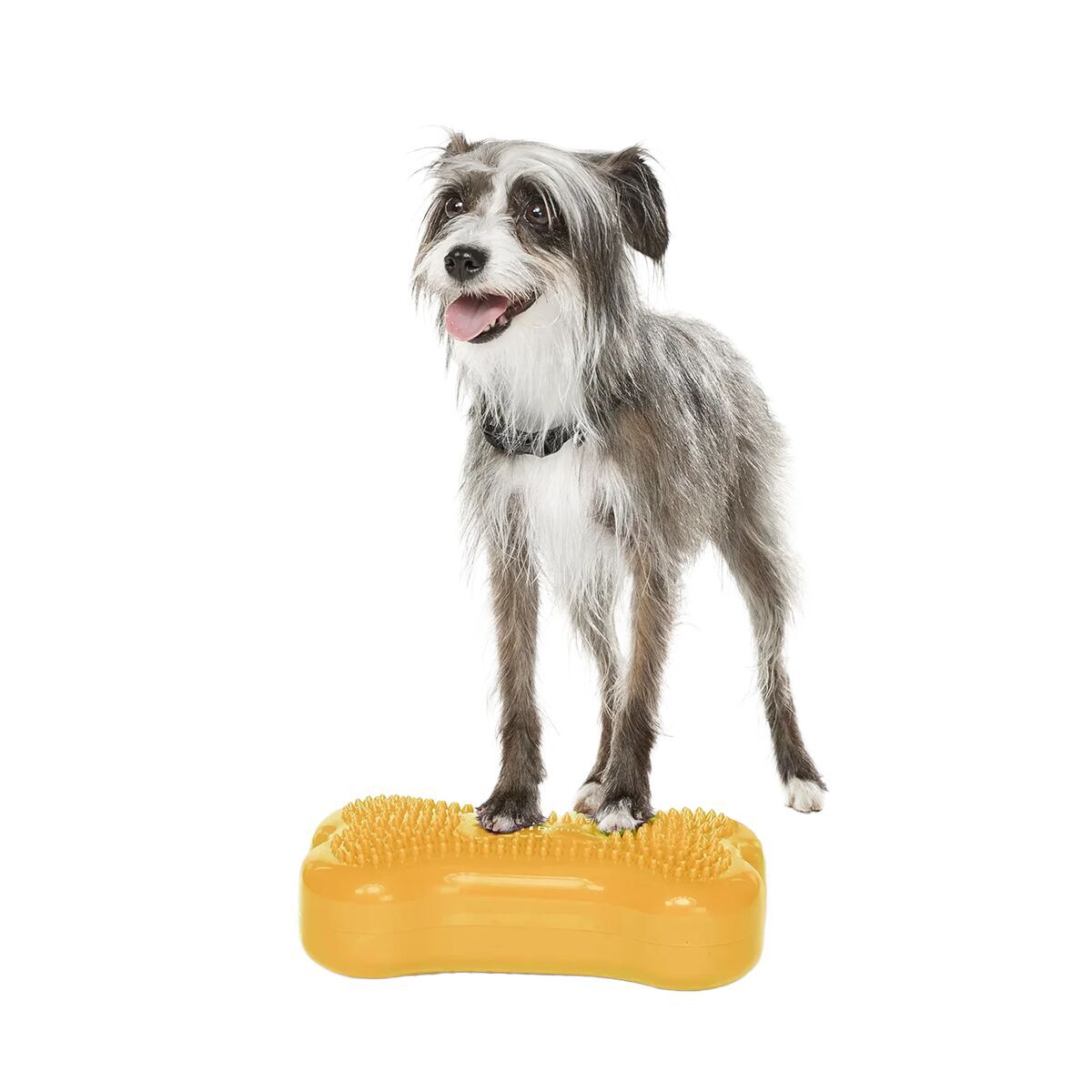 FitPaws K9FitBone Mini