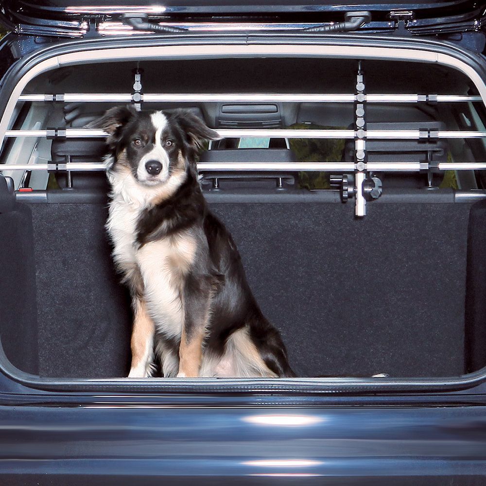 Trixie Koirakalteri hopea/musta