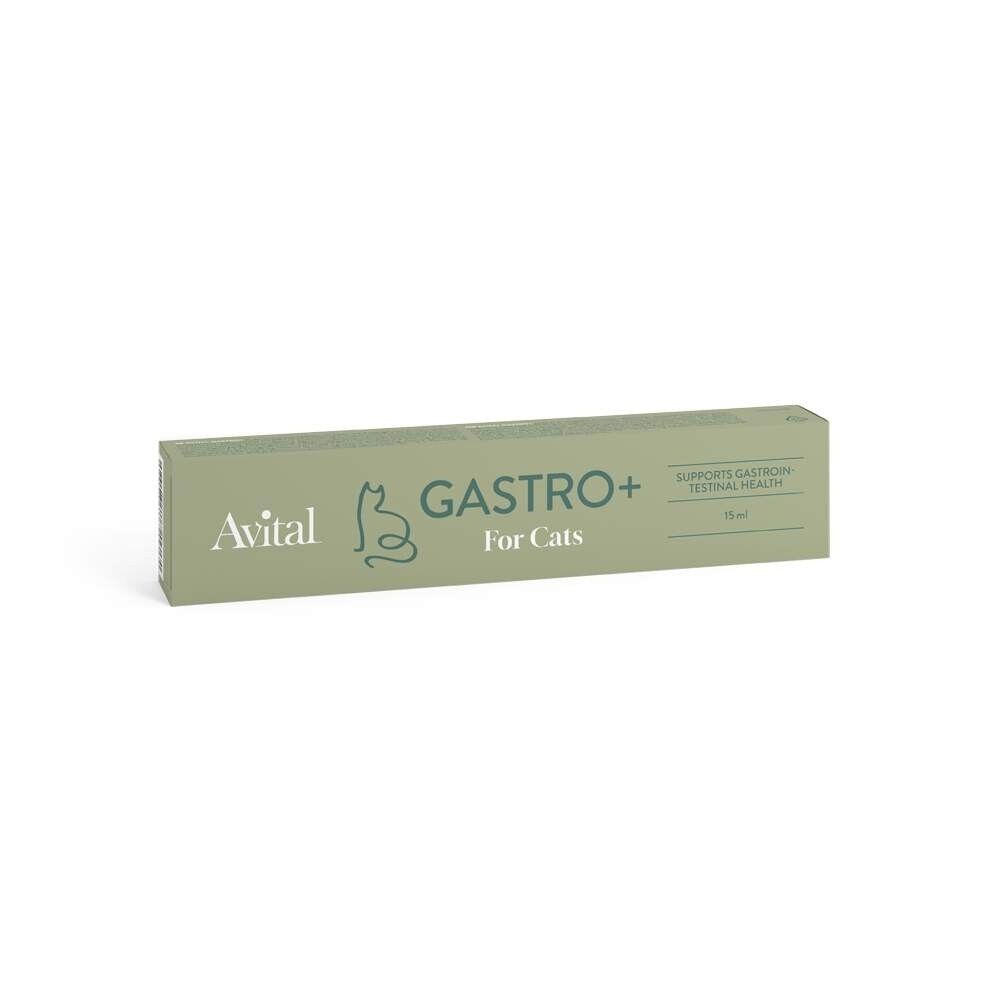 Avital Gastro+ kissalle