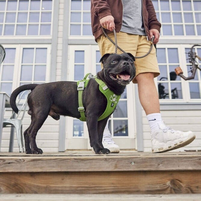 Hurtta Weekend Warrior II ECO valjas persilja