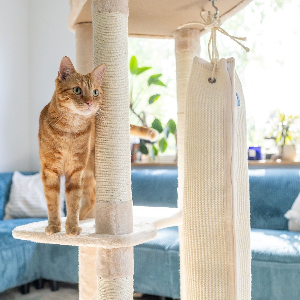 Quapas! Scratcher with climbing bag, beige 136cm