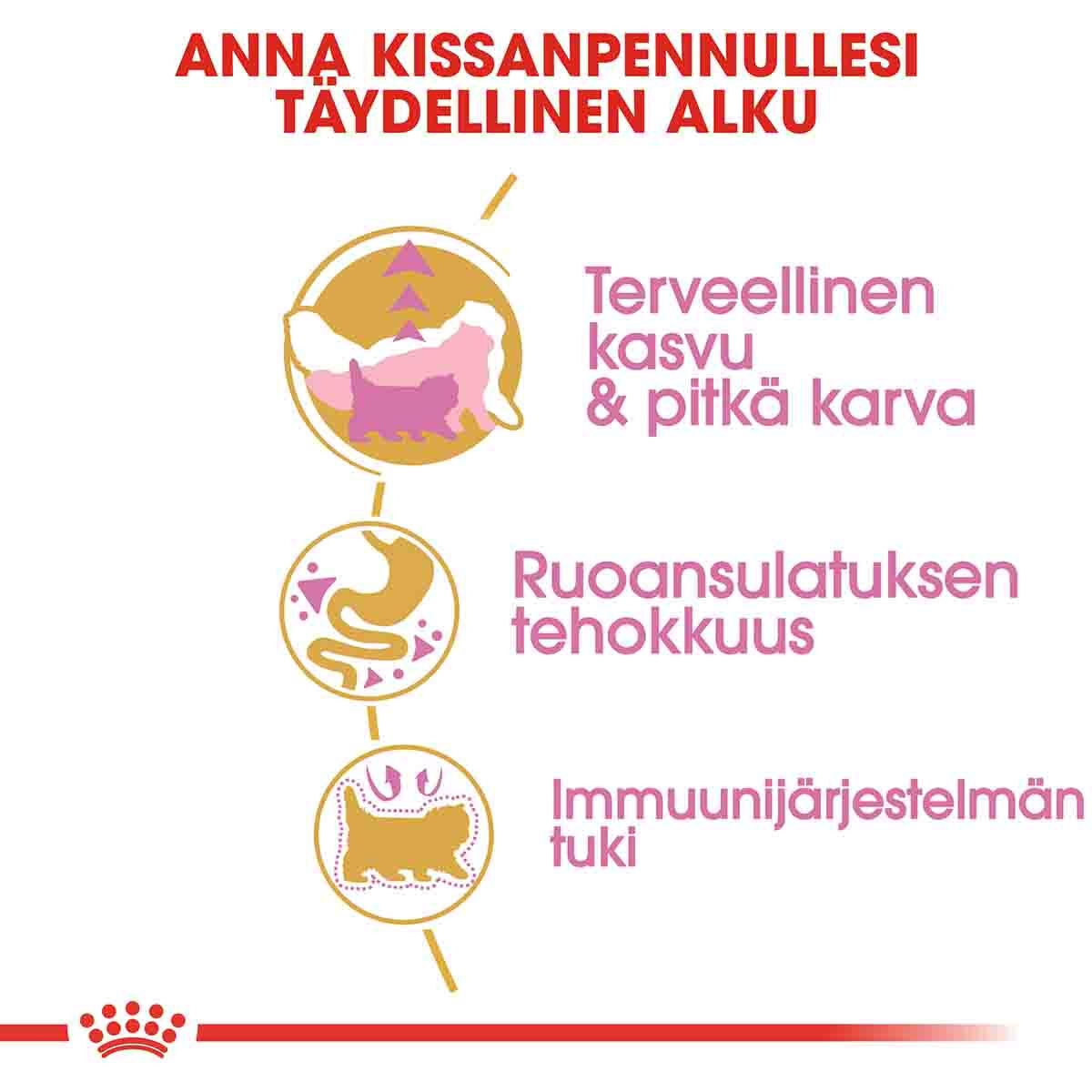 Royal Canin Persian Kitten kissanpennun kuivaruoka