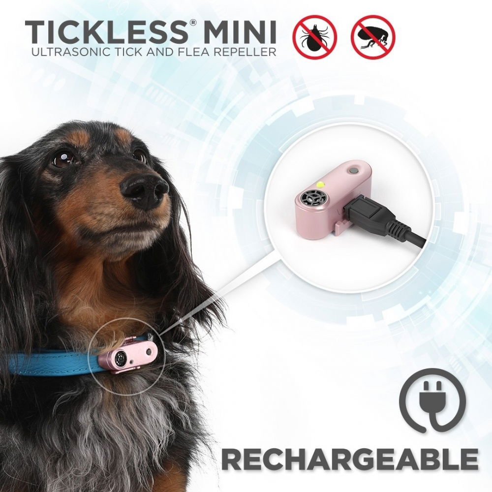 Tickless MINI DOG musta