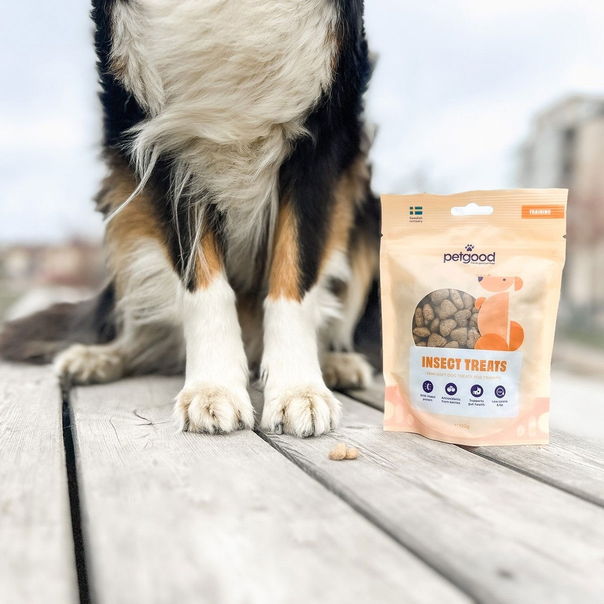 Petgood dog treats with insect protein