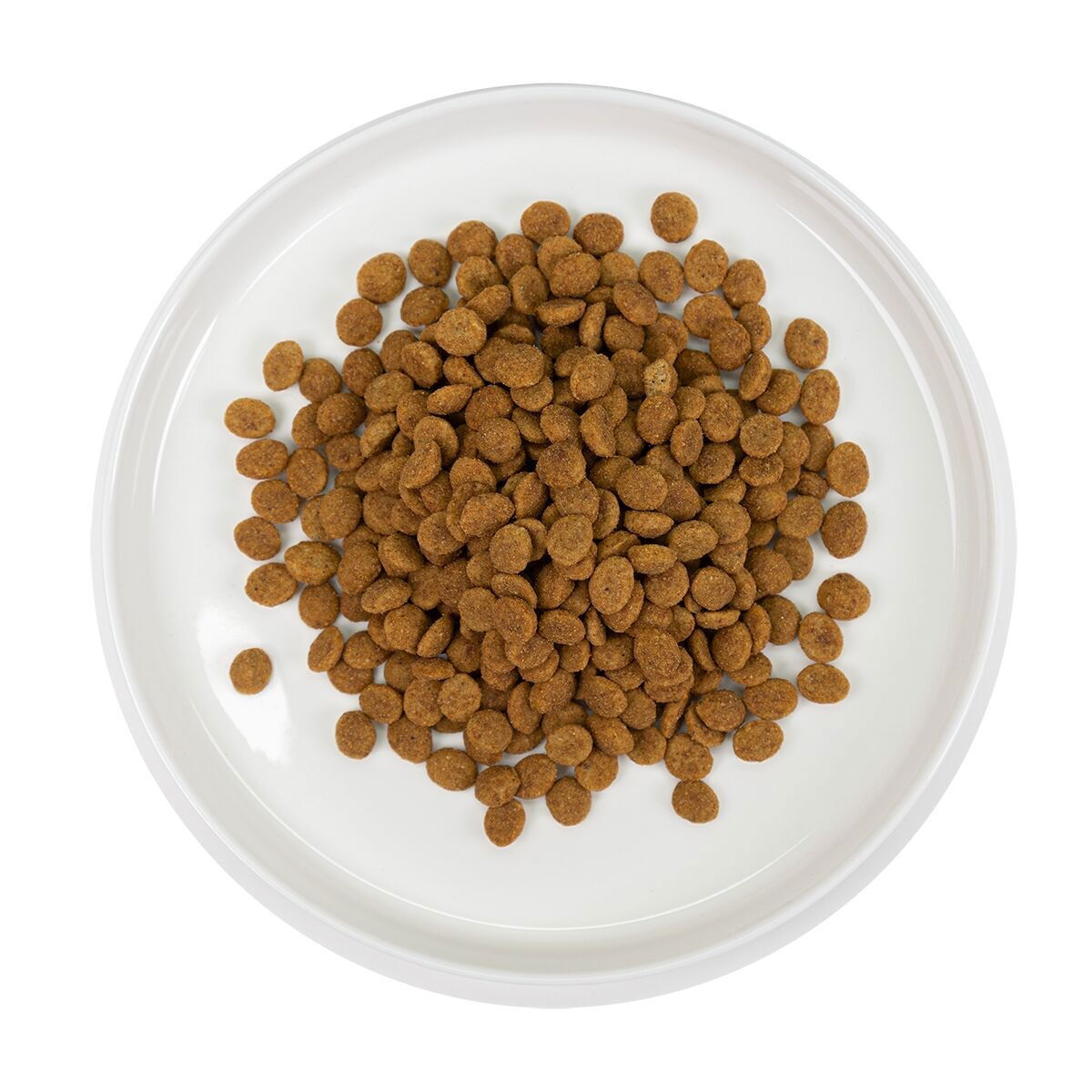 Kotikissa Sissi 1,4kg