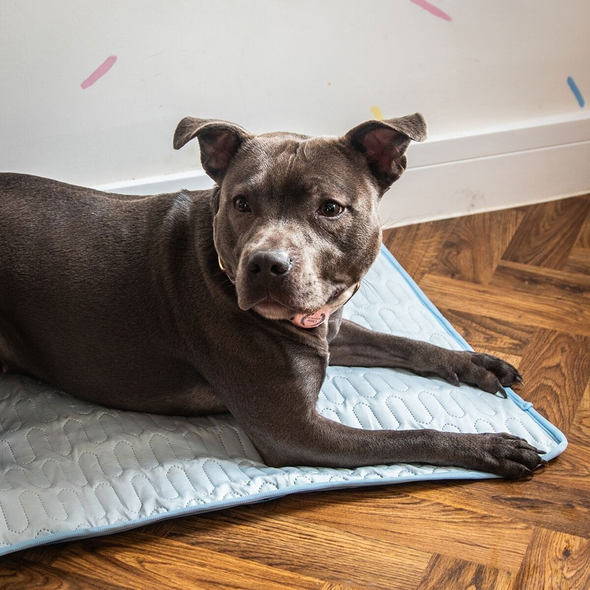 Rosewood viilennysalusta irtopäällisellä