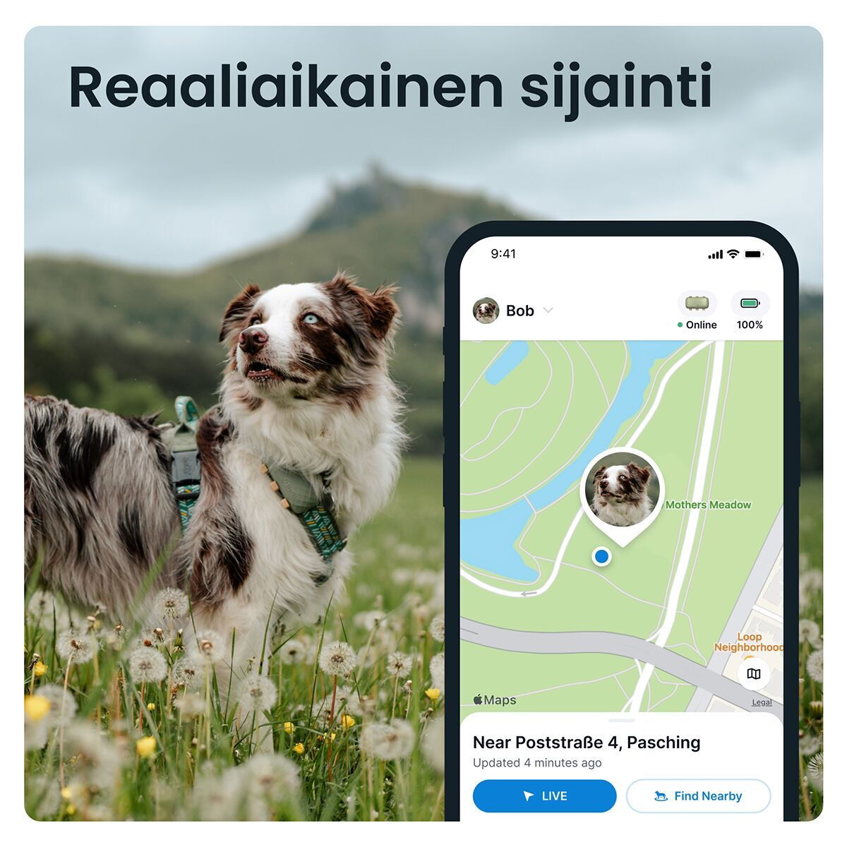 Tractive for DOG XL GPS