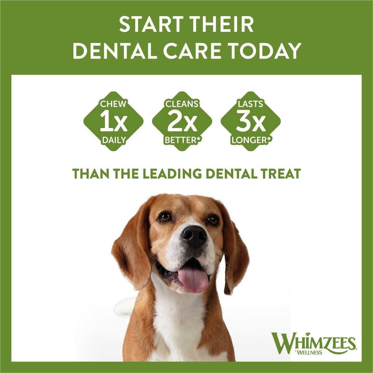 Whimzees Ricebone L hammashoitoherkku koiralle