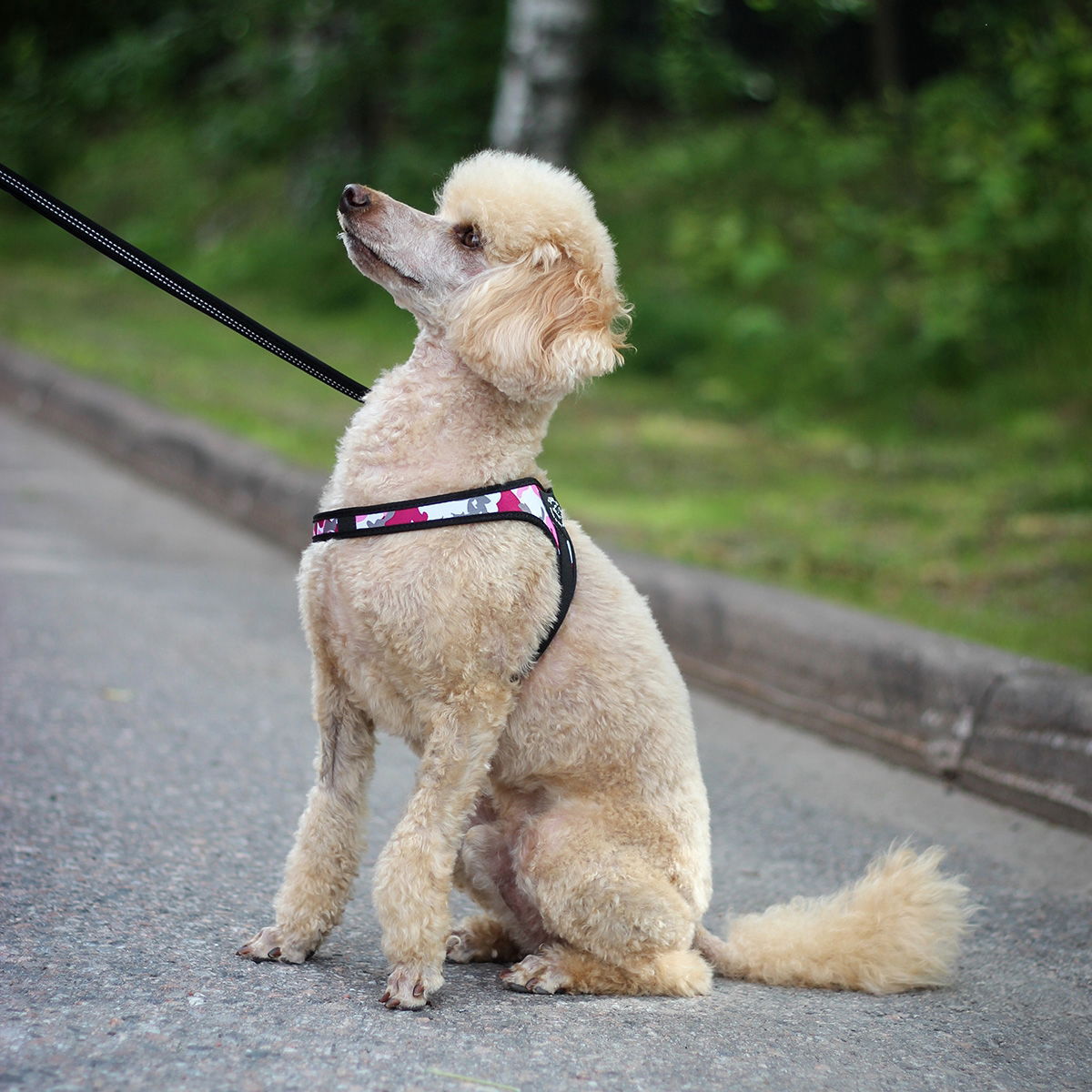 Tre Ponti Sele R260 Camou nr.1,5