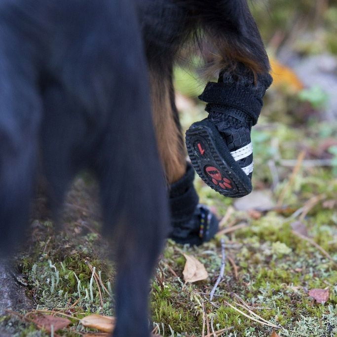 Rukka Step koiran tossut 4 kpl