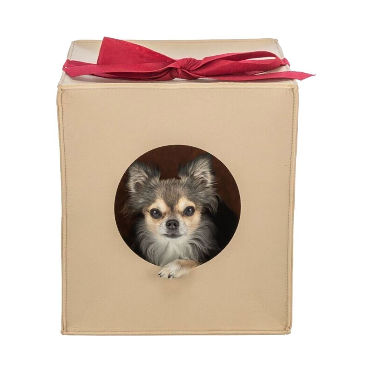 Trixie Cave present, felt