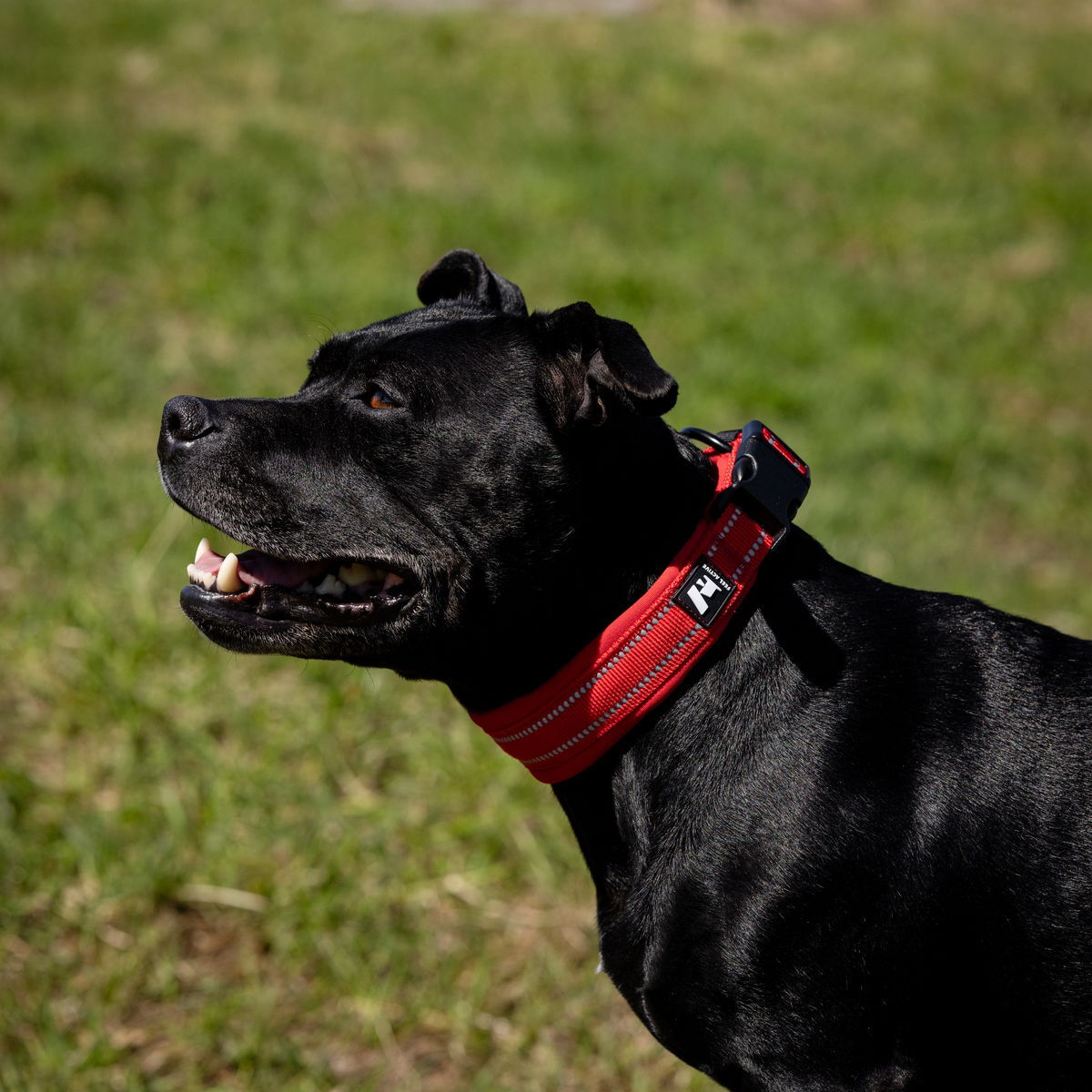 Feel Active Padded pehmustettu panta kirkas punainen