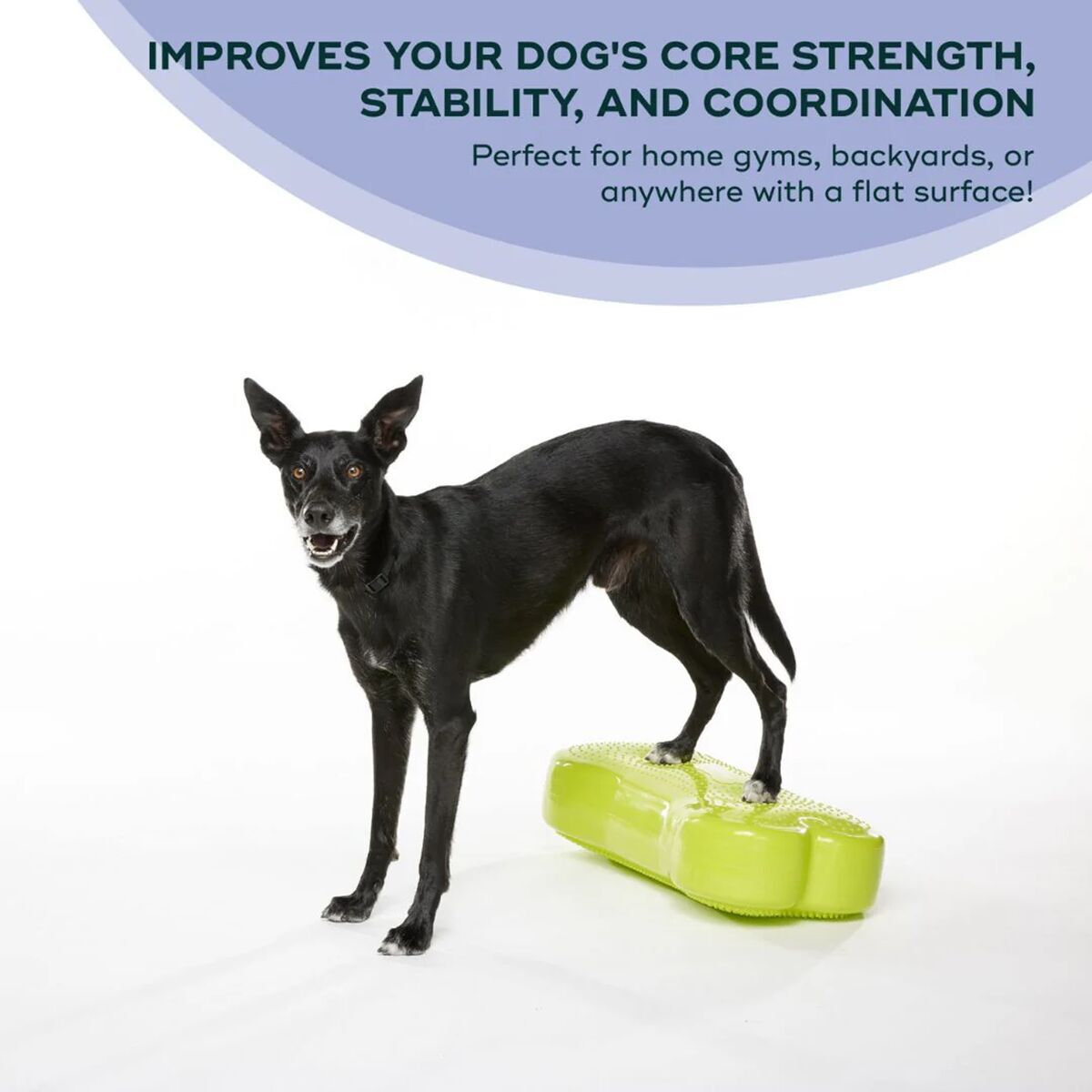 FitPaws K9FitBone