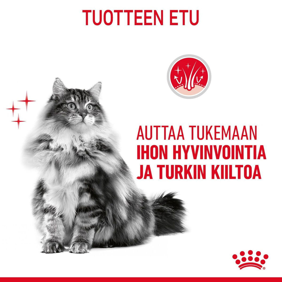 Royal Canin Hair & Skin Care Gravy Adult kissan märkäruoka
