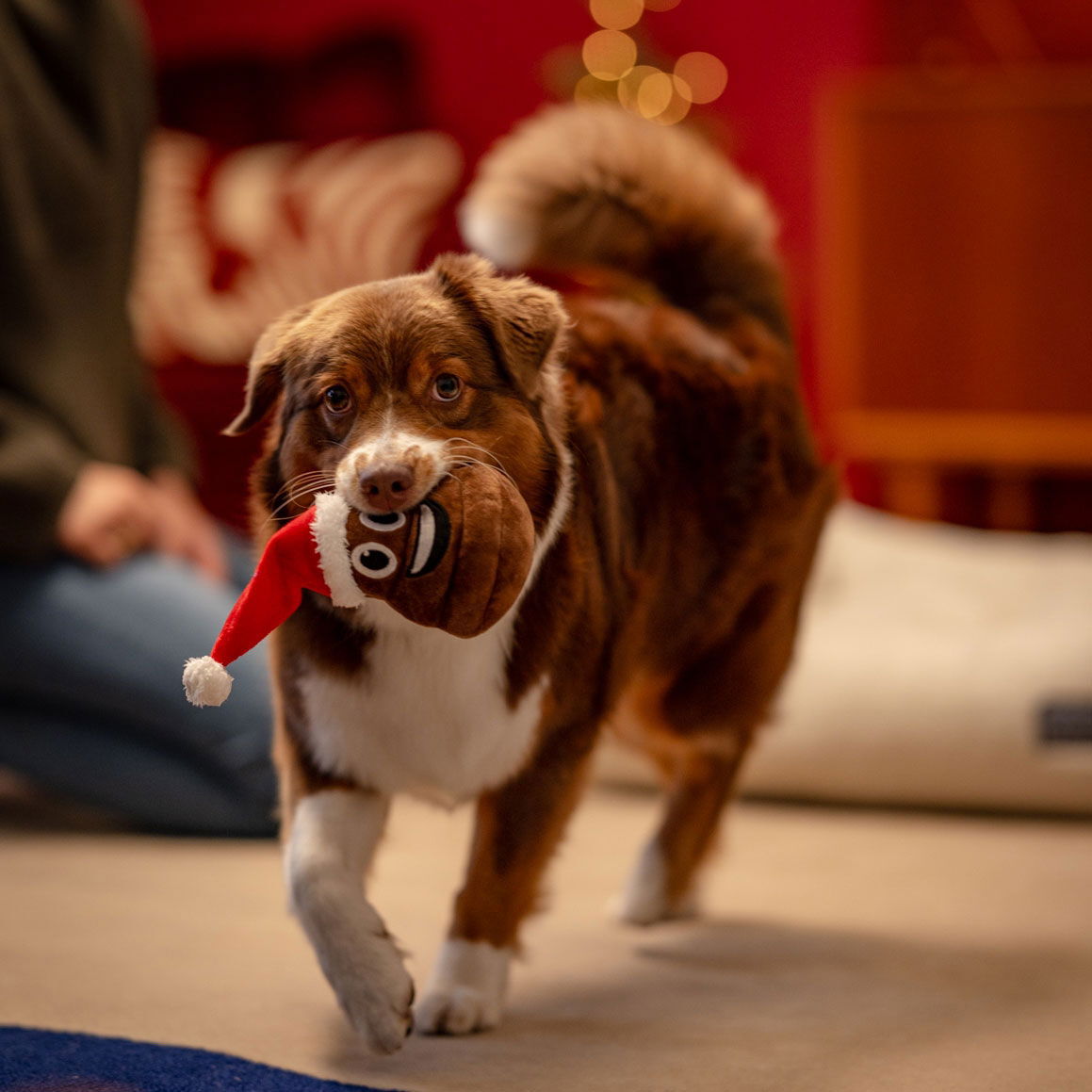 Little&Bigger Seasons Classics Xmas-kakka