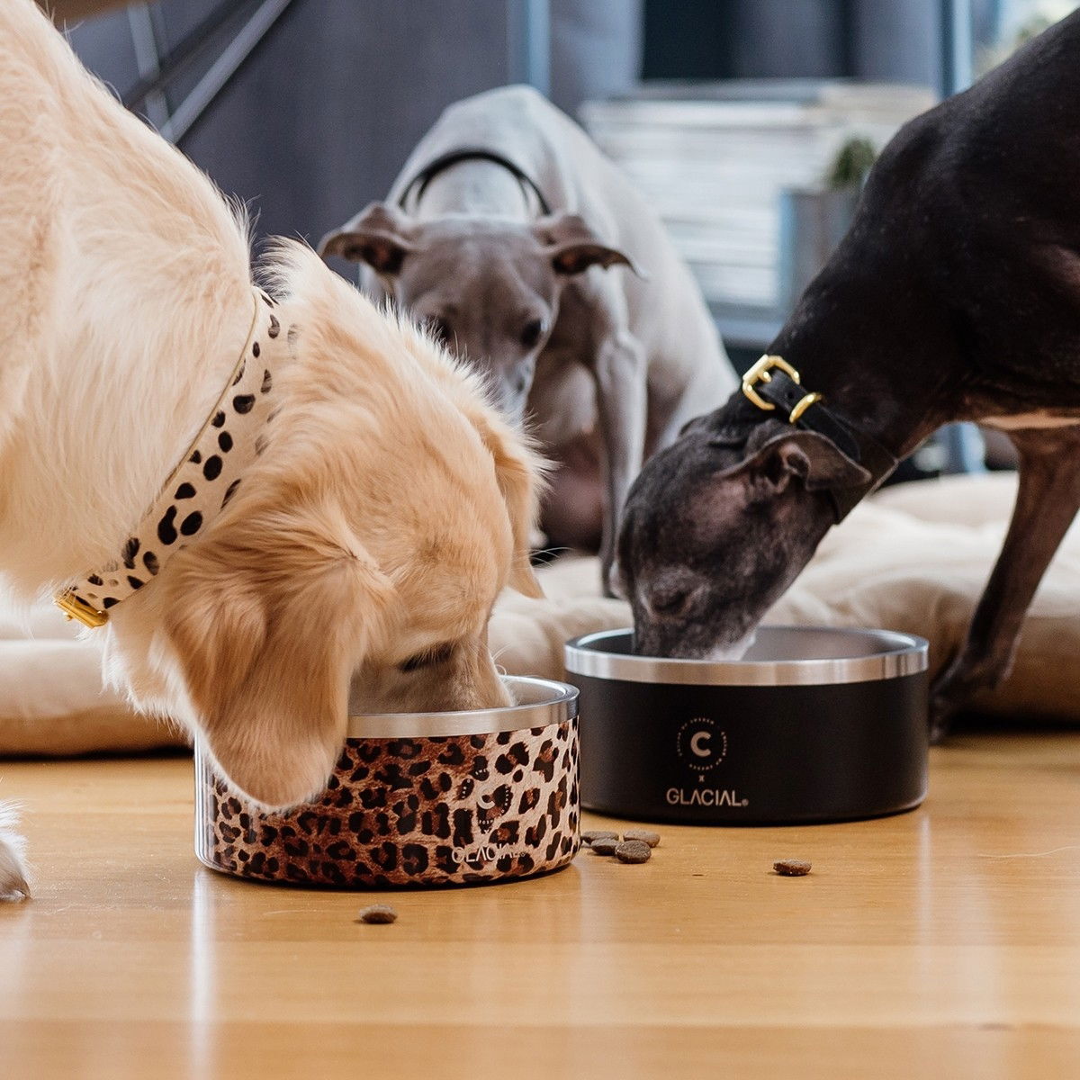 Collar of Sweden pet bowl matte black