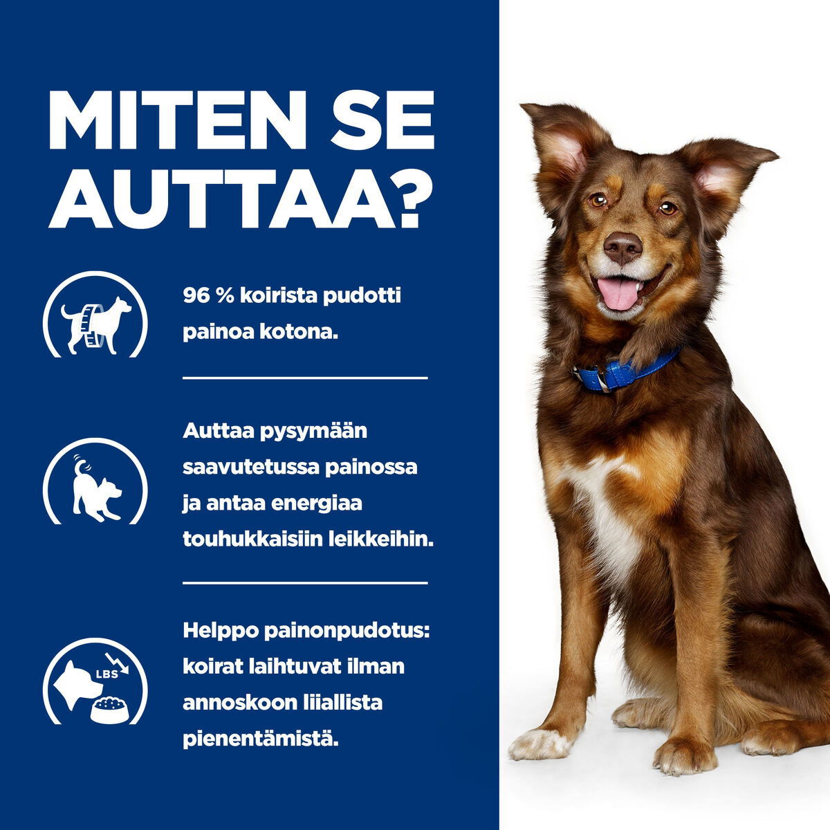 Hill's PD Canine Metabolic 370g