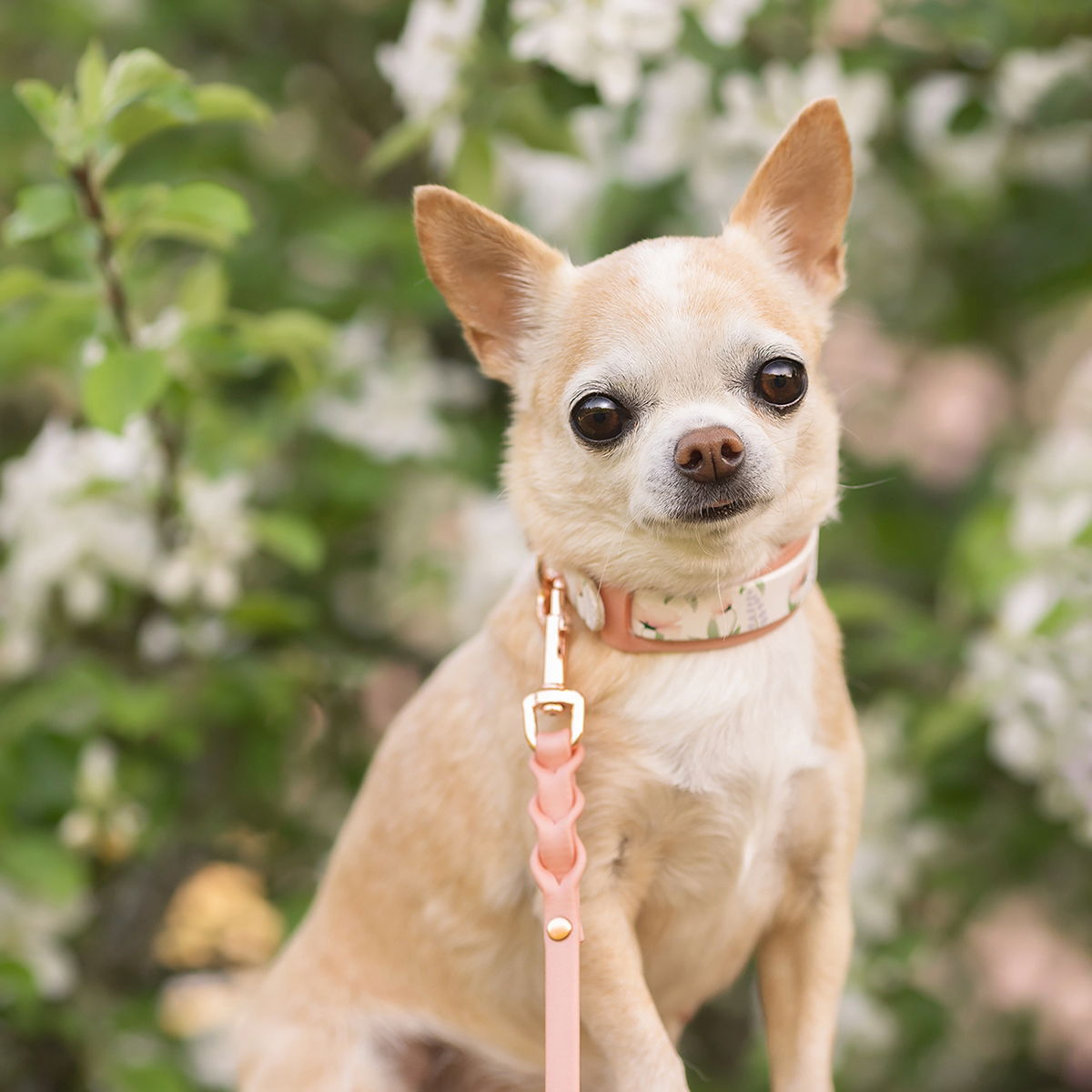 Tyylivoitto collar extender, peach