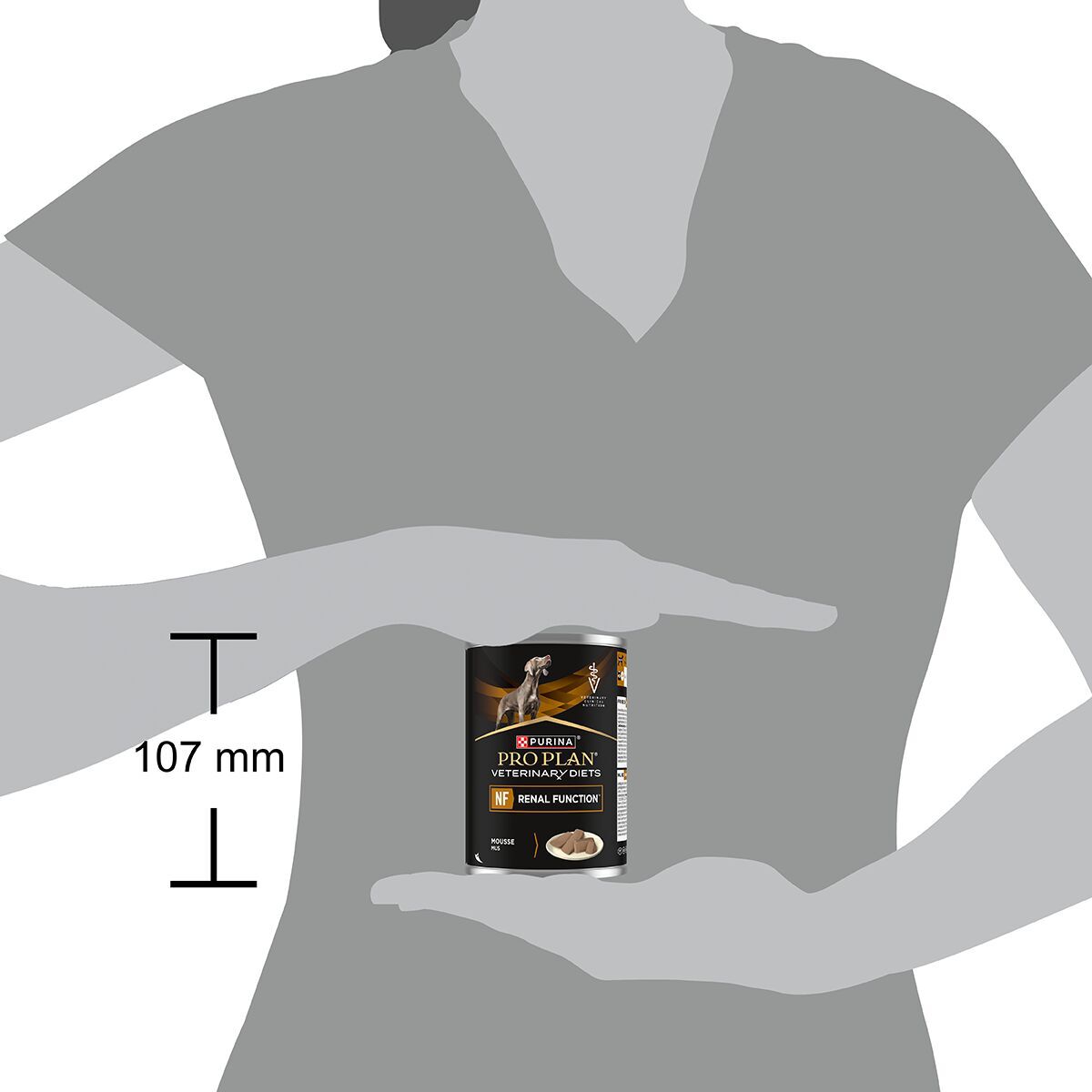 Purina Pro Plan Veterinary Diets Canine Adult NF Renal Function Mousse 400g