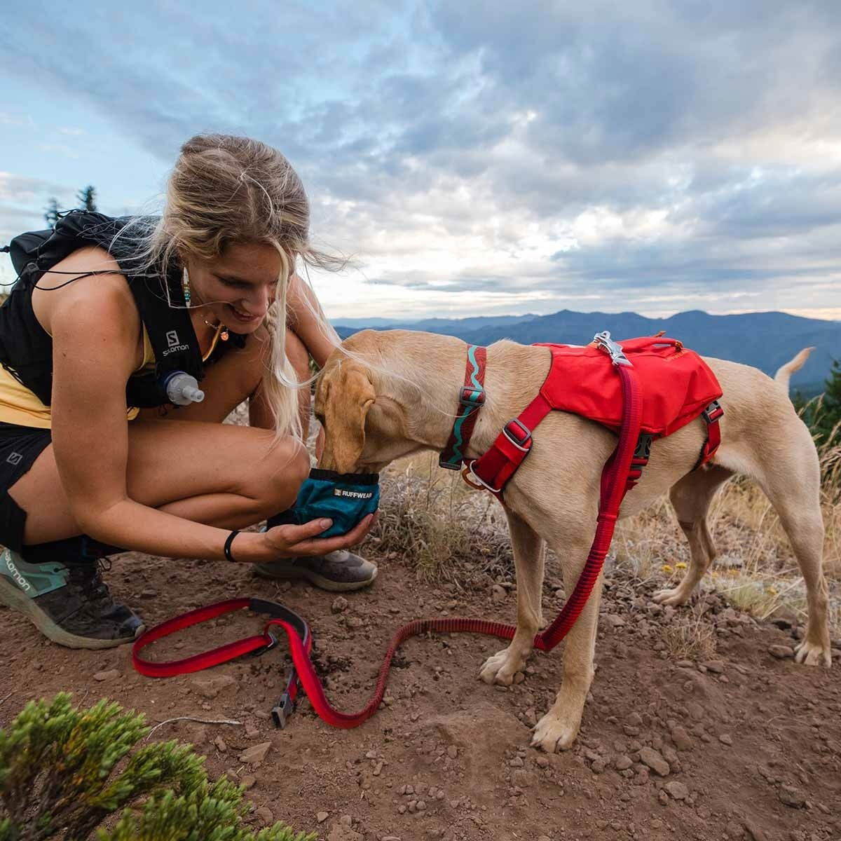 Ruffwear Switchbak -koiran valjaat, punainen
