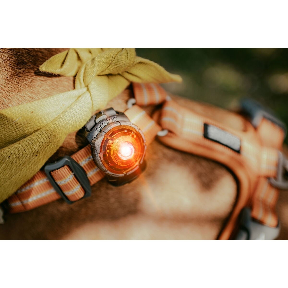 Orbiloc Dual Safety light