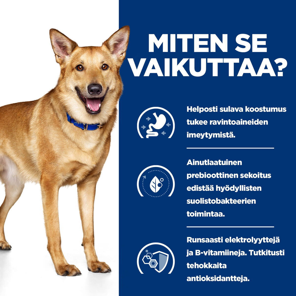 Hill's PD Canine i/d Turkey 360g