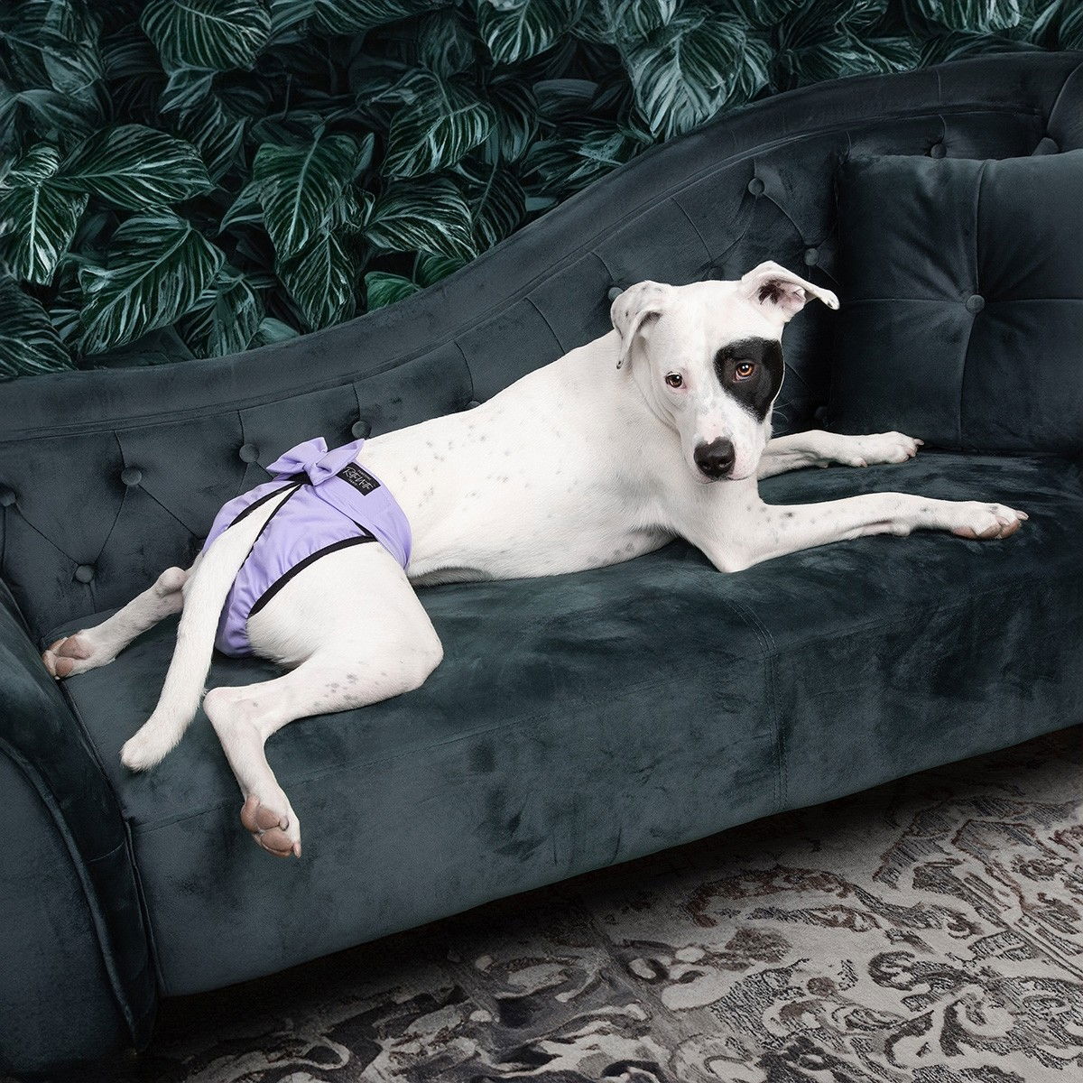 RuttuNuttu juoksupöksyt, Diva lila