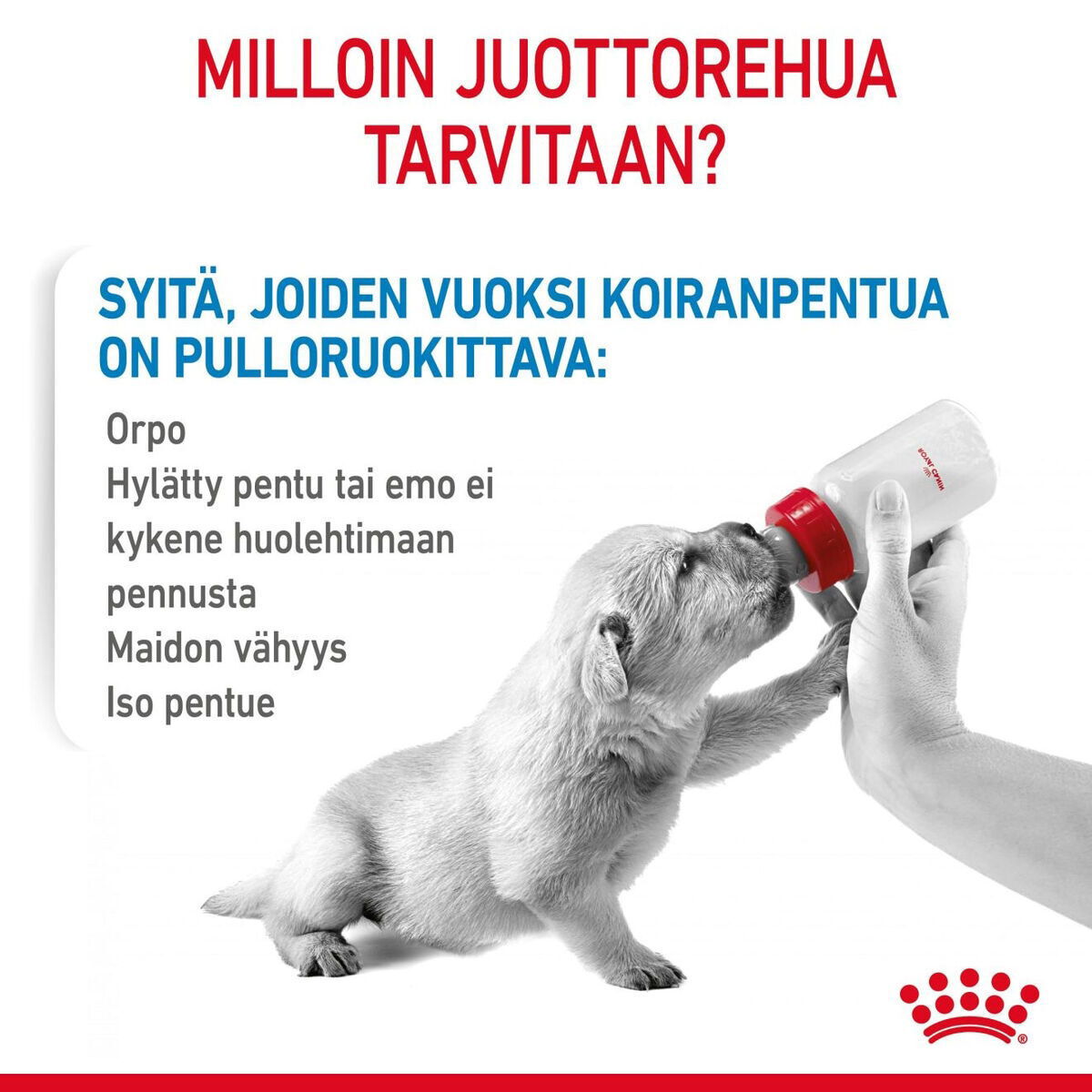 Royal Canin Babydog Milk emonmaidonvastike koiranpennuille