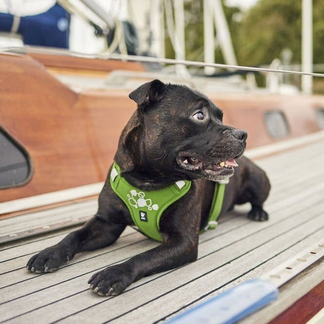 Hurtta Weekend Warrior II ECO valjas persilja