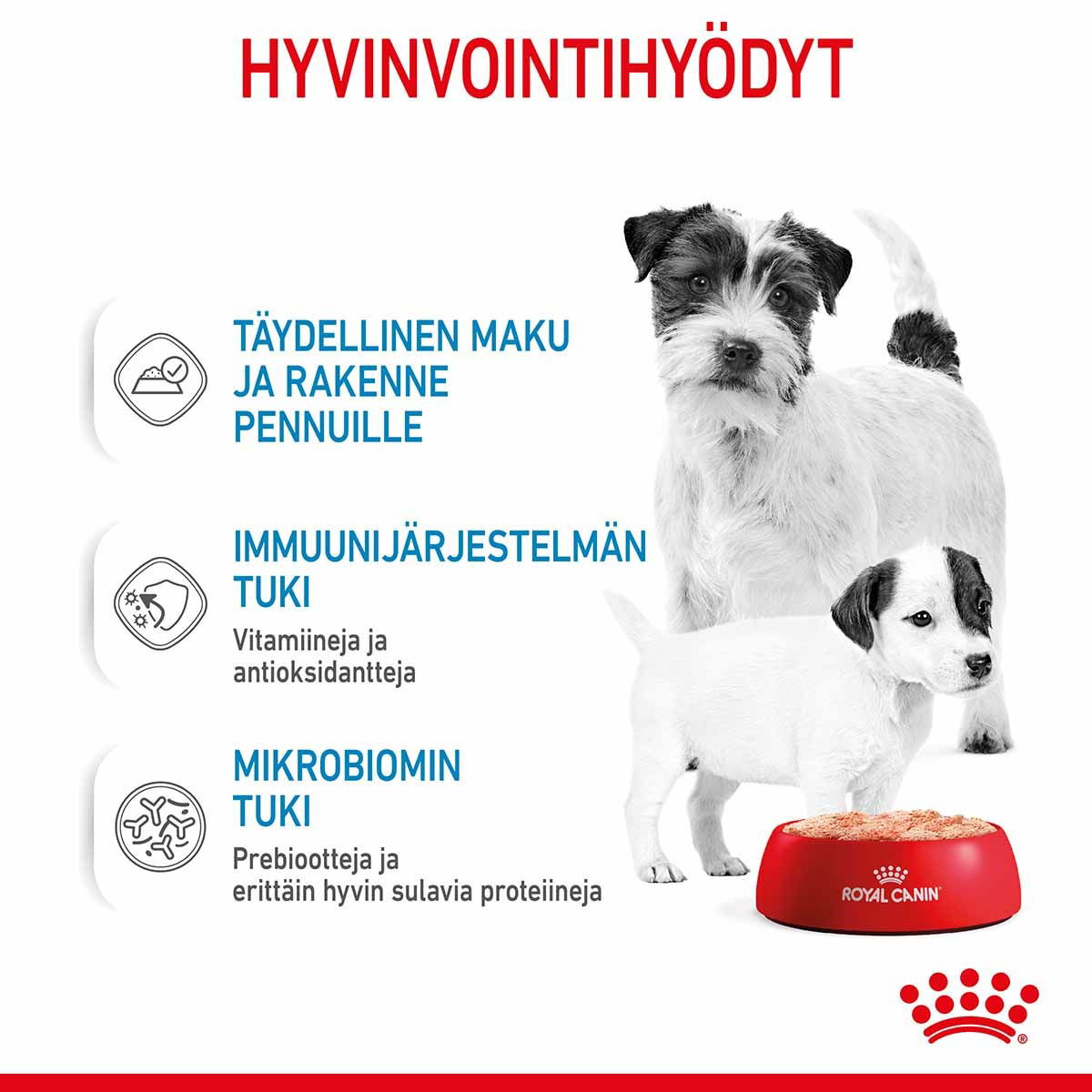 Royal Canin Mother & Babydog Starter Mousse märkäruoka nartuille ja vieroitettaville pennuille