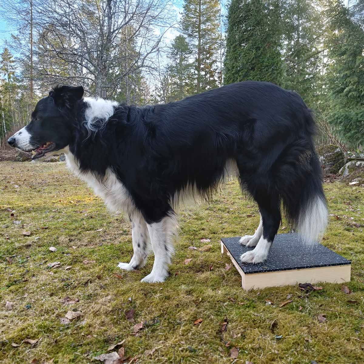 Loype Target Hamtal rubber dark