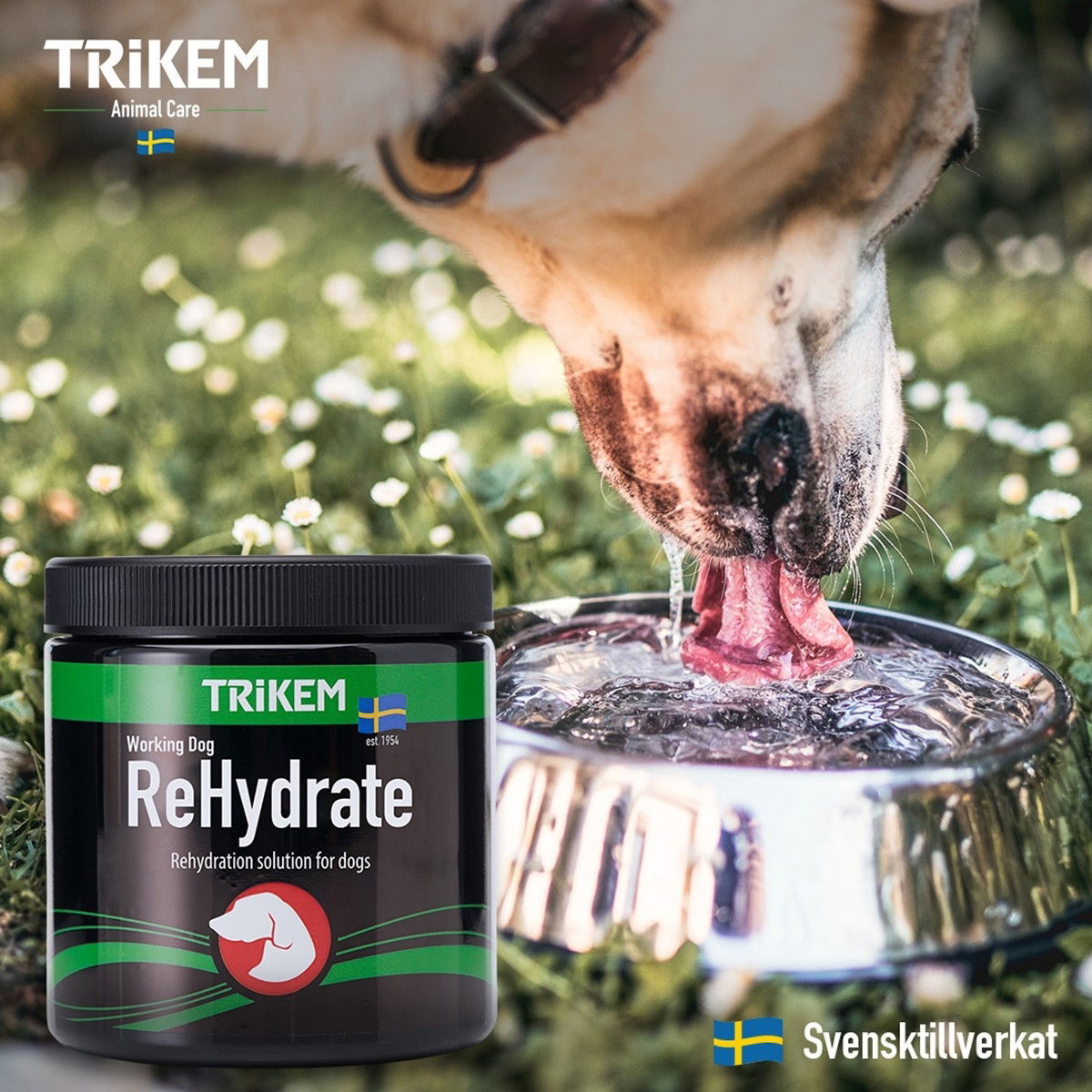 TRIKEM WorkingDog Rehydrate 