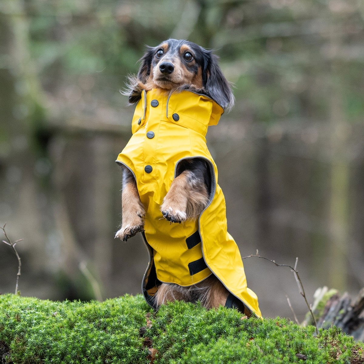 Rukka Stream sadetakki keltainen