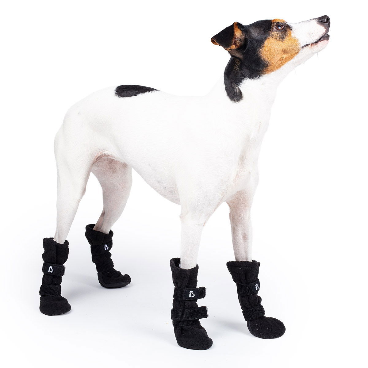 Basic Paws fleecetossu musta 4kpl