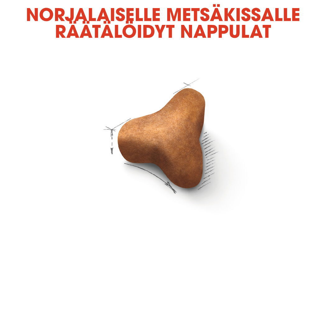 Royal Canin Norwegian Forest Adult kissan kuivaruoka