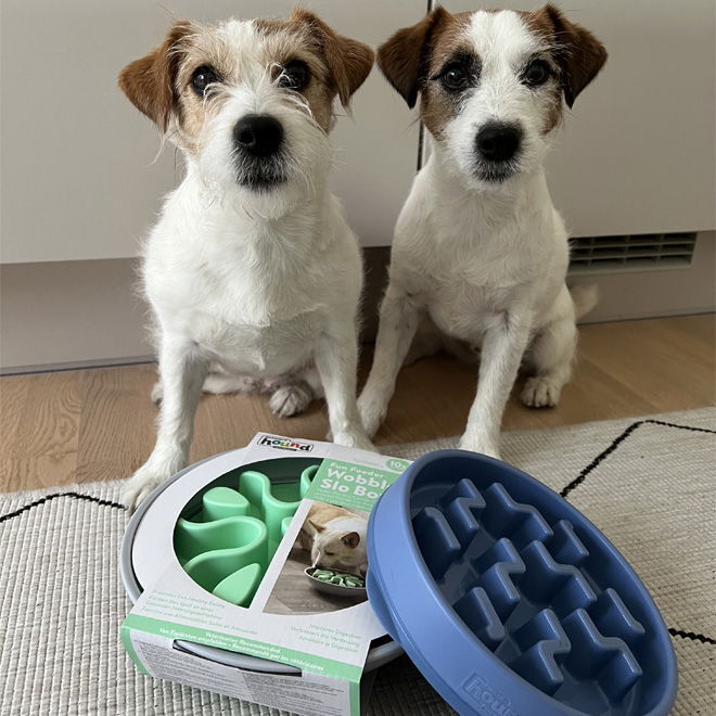 Slow feeder Outward Hound Notch M