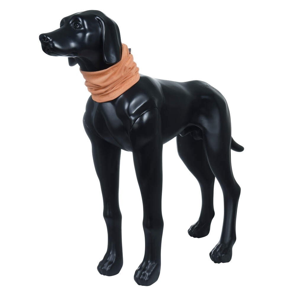 Rukka Viilennystuubi papaja