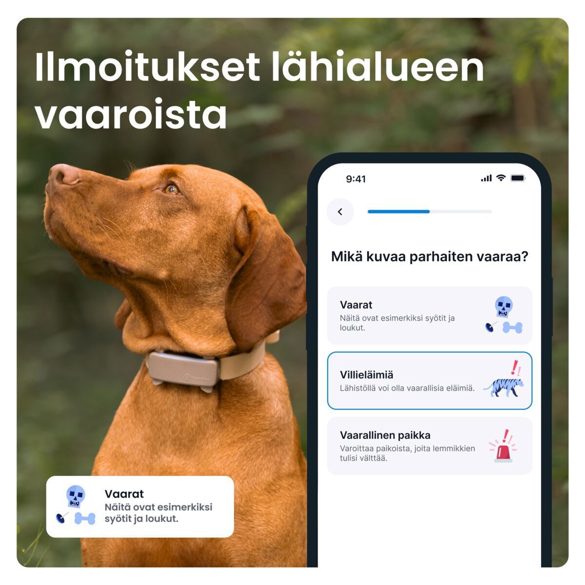 Tractive DOG 6 koiran paikannuslaite