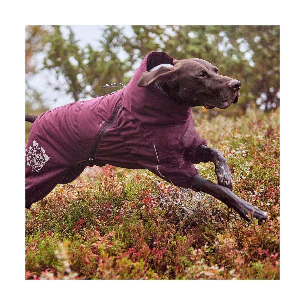 Hurtta Extreme haalari munakoiso