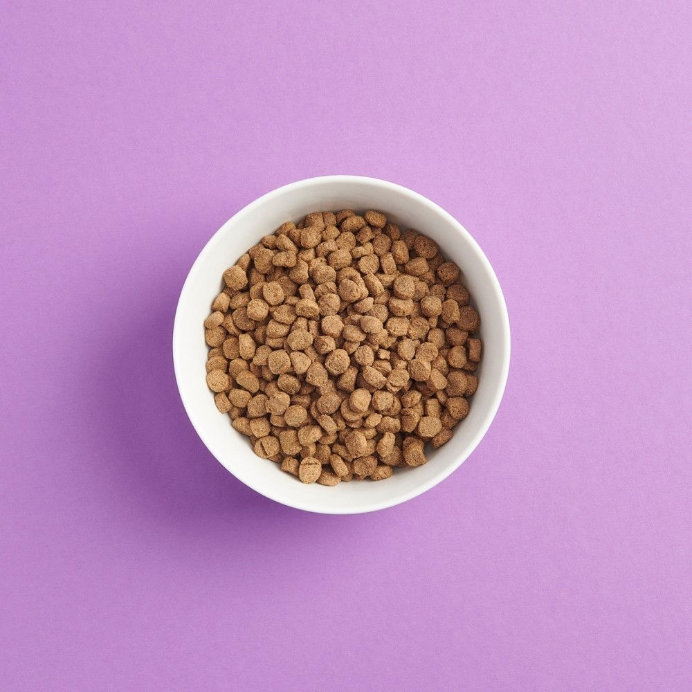 SMAAK aikuisen pienen koiran kanaruoka