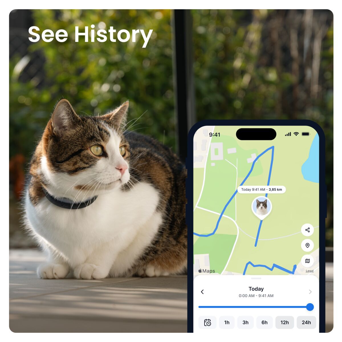 Tractive CAT 6 Mini – GPS paikannin ja terveysseuranta kissoille