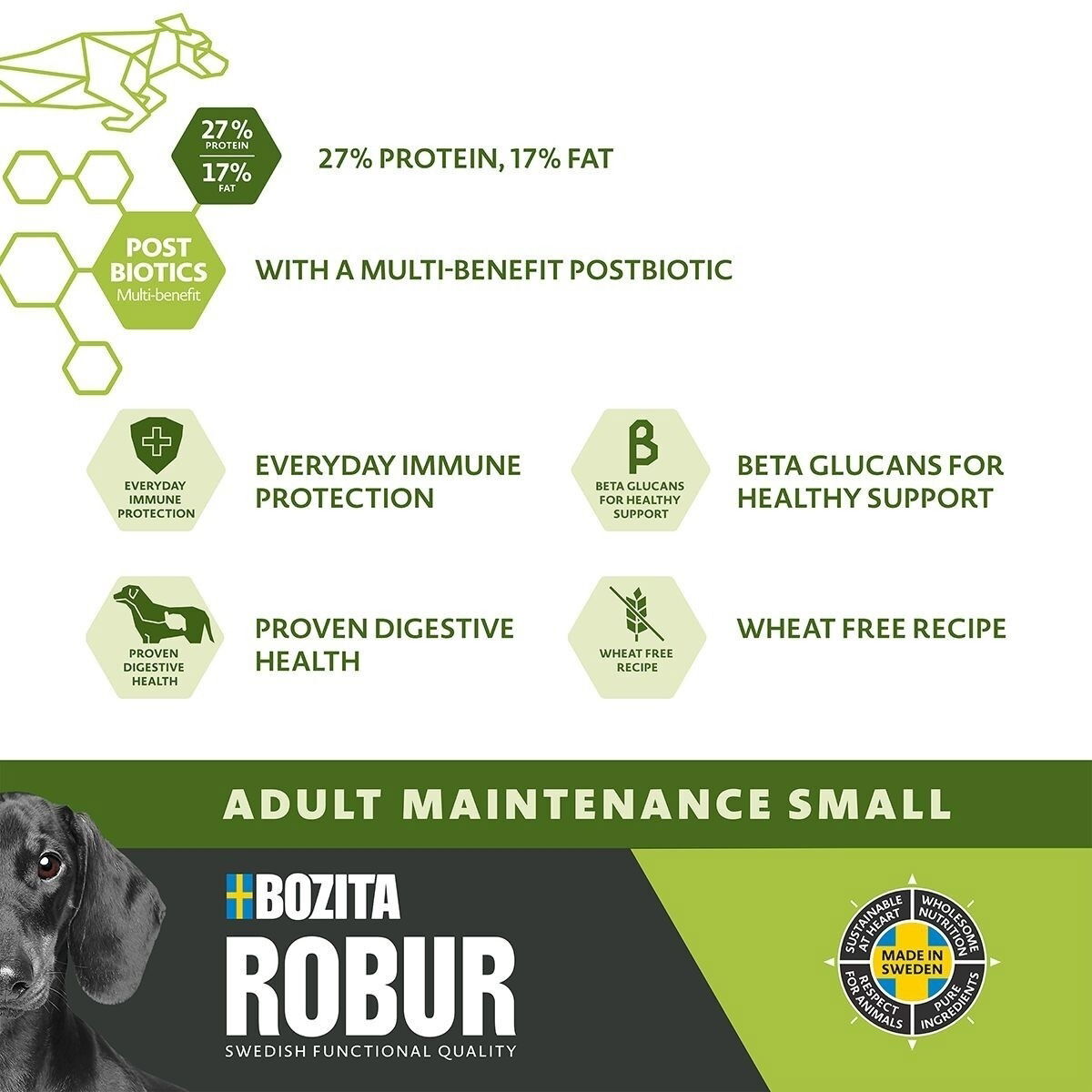 Robur Adult Maintenance Mini